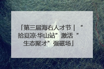 第三届海右人才节｜“拾夏凉·华山站”激活“生态聚才”强磁场